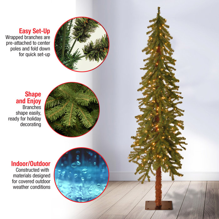 Steelside™ 5' Lighted Artificial Cedar Christmas Tree & Reviews Wayfair